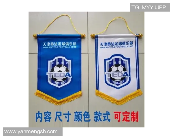 赛后分析：西安足球队与成都足球队的速度对决全景回顾