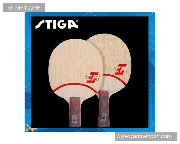 乒乓球盛宴：深入揭秘杭州乒乓球队的独特技艺与训练秘诀