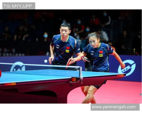 从零起步打造乒乓球团队协作的全方位实用指南与技巧分享