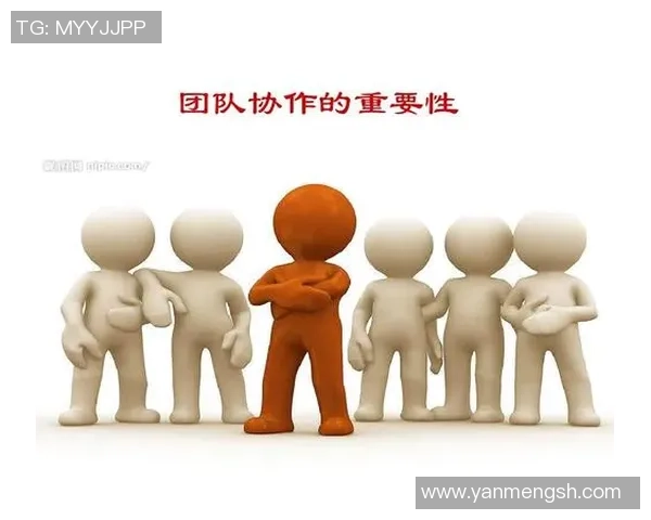 杭州排球队阵地战解析：战术创新与团队协作的完美结合